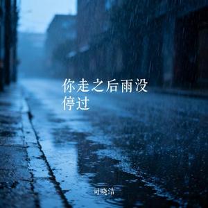 你走之后雨没停过
