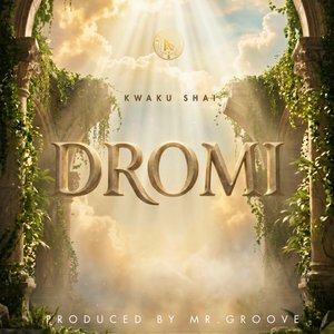 Dromi