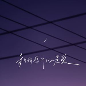 新鲜感终归不是爱