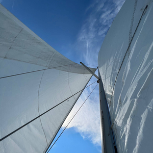 Nickel (22.09.26.15.05)