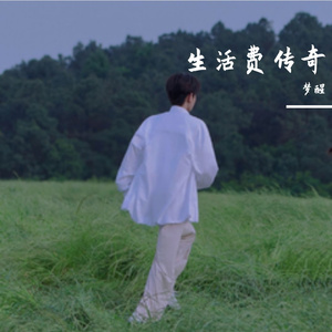 大型纪录片之《生活费传奇》