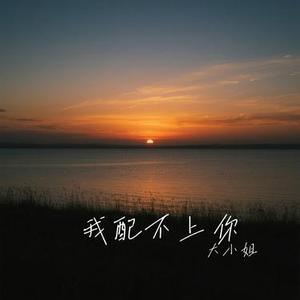 我配不上你 (Cover 吕口口)