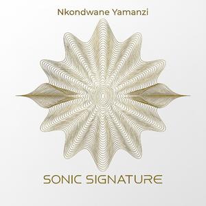 Ngingubani (feat. Sphesihle)