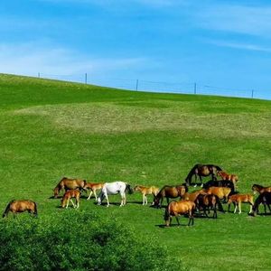 时光的印记 伴奏