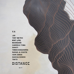 Latin Strenght (Original Mix)