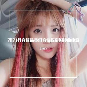 2021抖音极品重低音快摇泰国神曲串烧