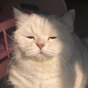 放 (Prod.By 97Virus )