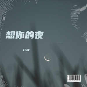 想你的夜