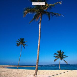 办公室工作轻音乐