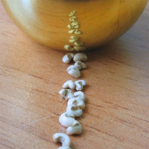 Dimenticanza (feat. Chiara & Alessandro)