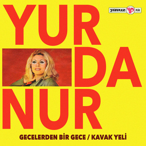 Gecelerden Bir Gece