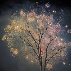 INFJ in Starry Fireworks