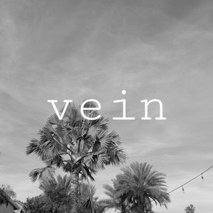 vein