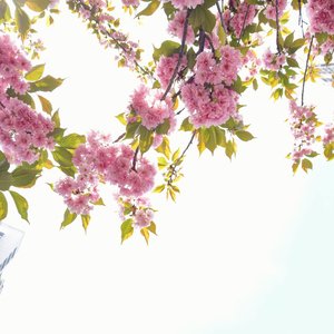 静下心来理解爱