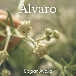 Alvaro