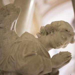 to我挚爱的旺财们(prod by Redkiller)