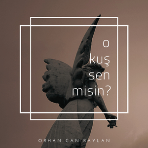 O Kuş Sen Misin?