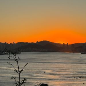 7 d 24 h（prod. Nalig)