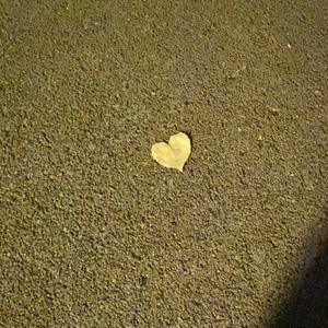 夏天，晚风，你（prod by lisure）