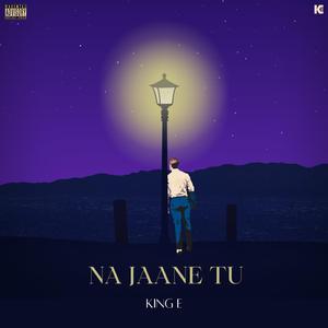 Na Jaane Tu