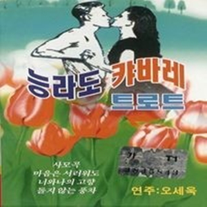 하룻밤 풋사랑