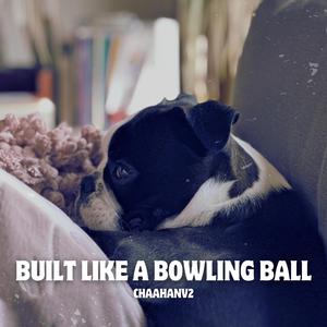 built like a bowling ball