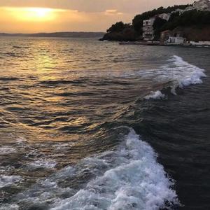 贩卖日落（翻自 王巨星）