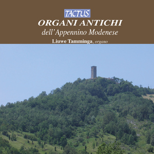 Divertimento in B-Flat Major, K. 270 (arr. for organ solo): II. Andantino (arr. for organ solo)