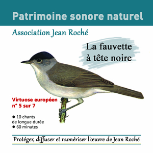 Fauvette à tête noire-Sylvia atricapilla_Chant 6 (Chateaubois - Isère - France) - mai 90 (Protéger et diffuser l'oeuvre de Jean roché)