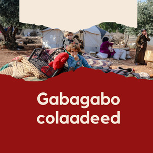 Gabagabo colaadeed