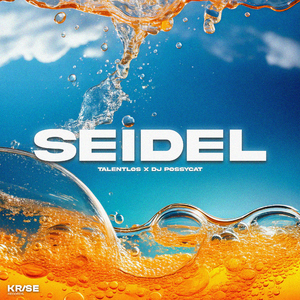 Seidel (Seidelmann 2025)