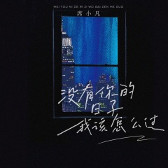 没有你的日子我该怎么过