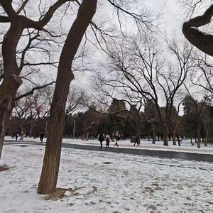 爱过的人像是一场梦