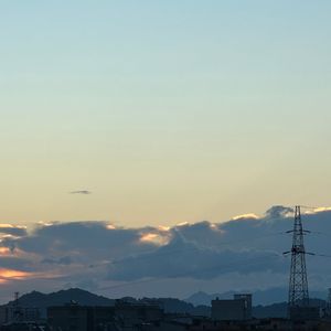 珊瑚说（Cover）