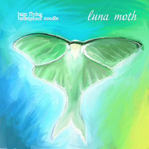 luna moth