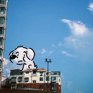 达尔文(弹唱版)