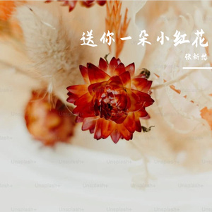 送你一朵小红花（cover赵英俊）