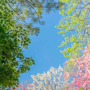 《不同人生的光影旅程》