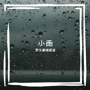 小雨