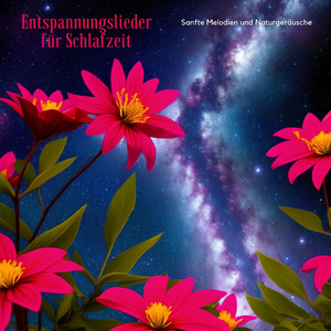 Ruhige Nacht in der schneebedeckten Landschaft