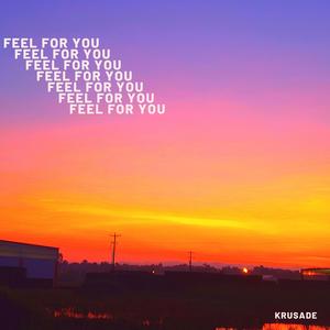 Feel for You