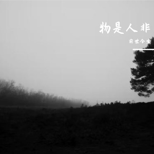 物是人非