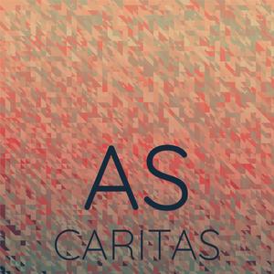 Woolgather Miscredent