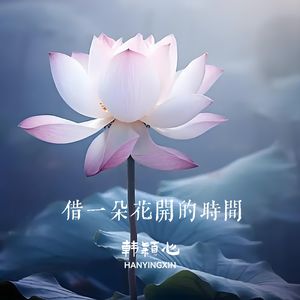 借一朵花开的时间 韩颖心