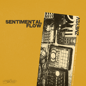 Sentimental Flow
