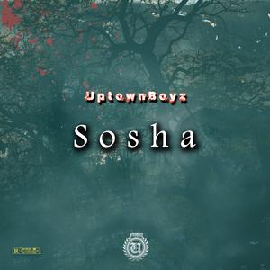 Sosha