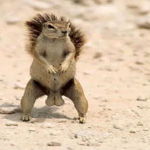 This monster will save the world Do you have a normal life? This is very good hot hot Monster paid off they love Como estas income