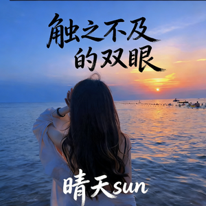 触之不及的双眼