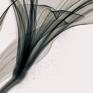 Serenity Of The Seas