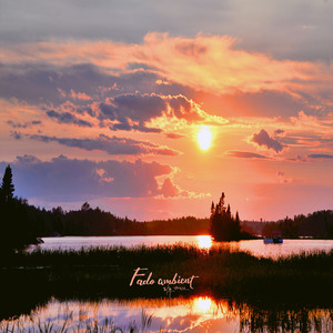 포민 : 황금 같은 사랑아 - 집시의 행복